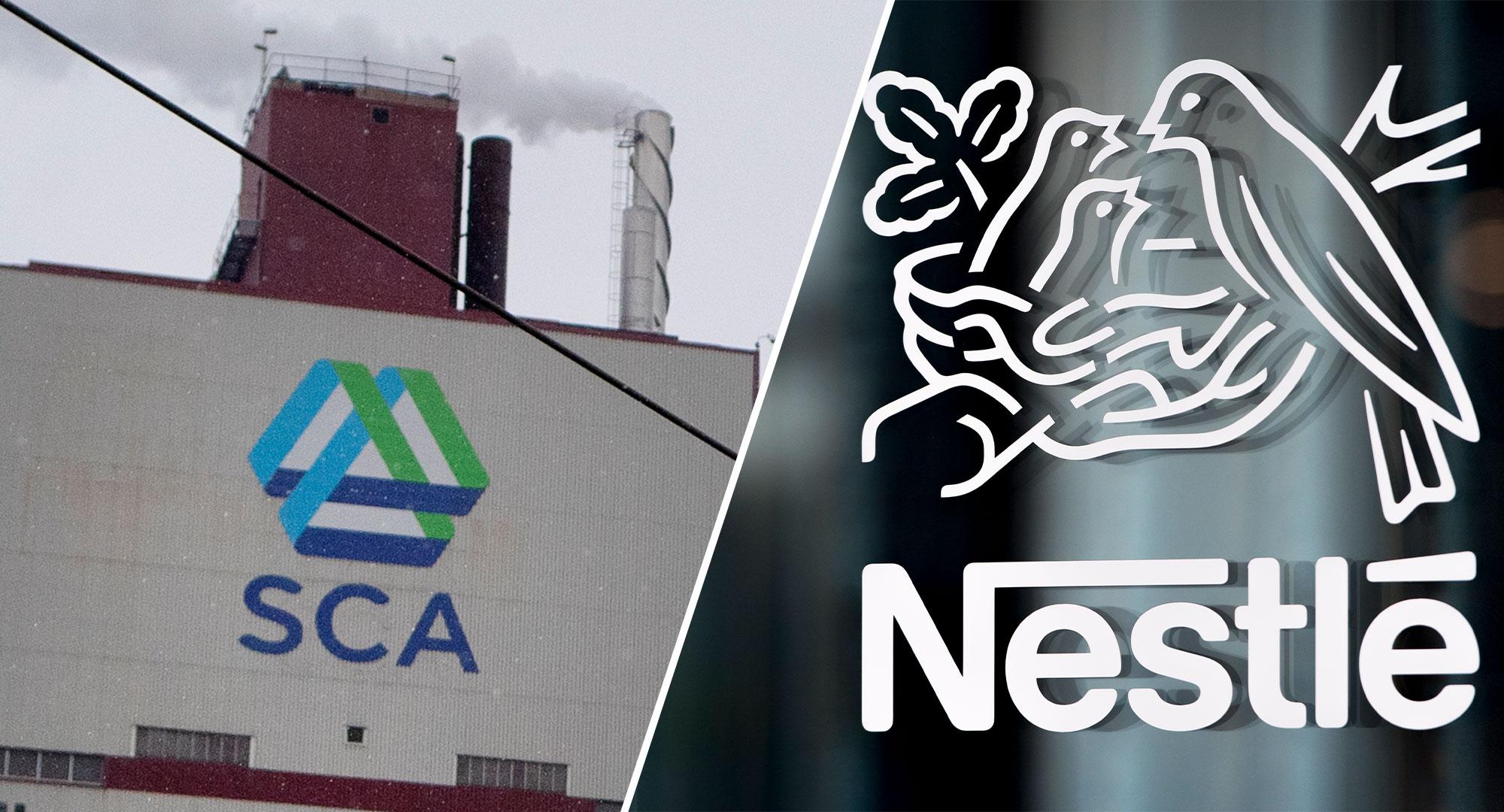 Nestlés bojkott av SCA väcker oro i skogen: ”Fruktansvärda proportioner”