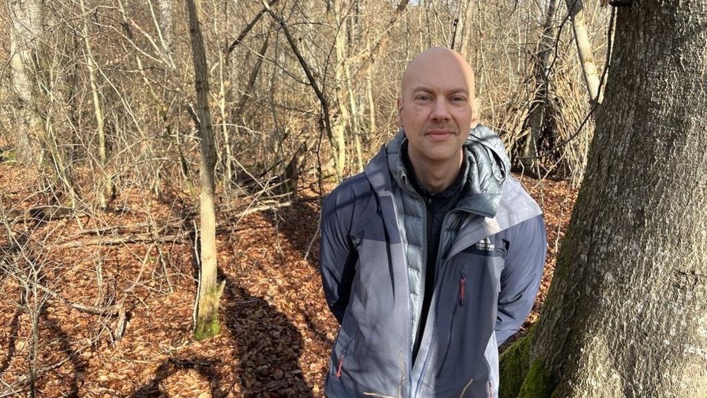 Studie: Orörda skogar nyttigare för klimatet än man tidigare trott