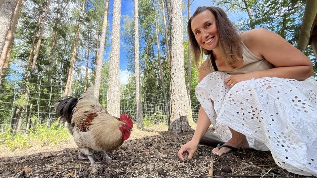 Sveriges höns ute ur burarna – först i världen - P4 Sörmland