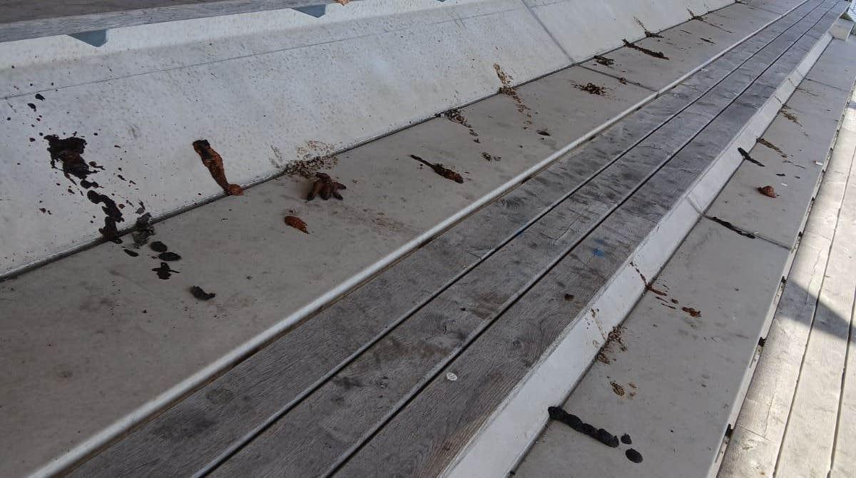 Bajsmannen har slagit till i Jönköping